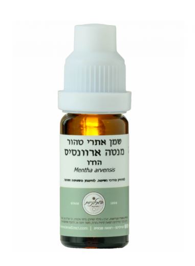 המילניום שמן אתרי מנטה ארוונסיס הודו Mentha Arvensis