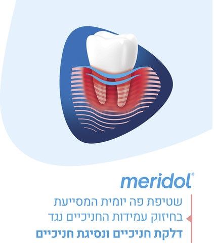 מרידול שטיפת פה פרדונט אקספרט לחיזוק החניכיים Meridol